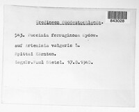 Image Associated With the Occurence